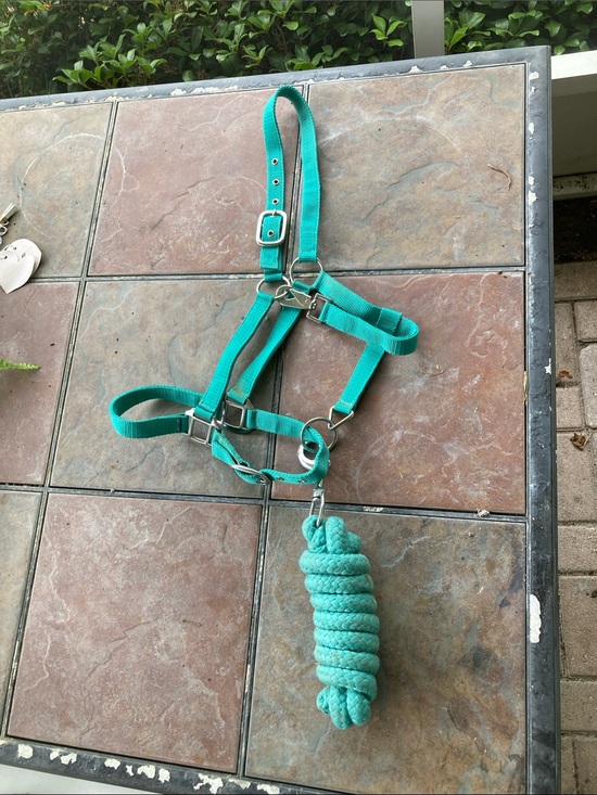 unbranded Other - NWOT Buckle nose Teal Horse Halter with Lead Rope -